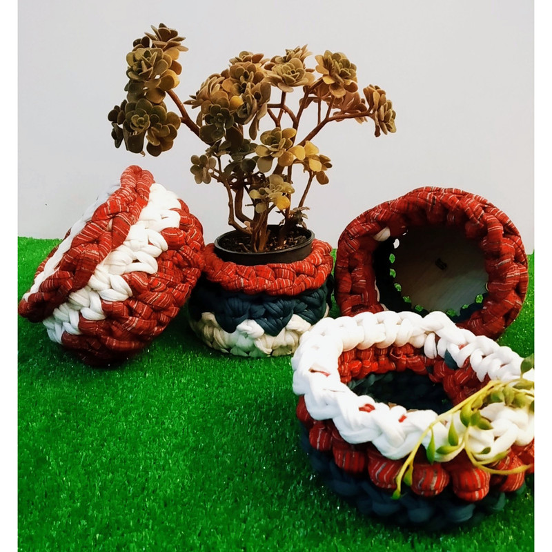 گیاه طبیعی ساکولنت مخملی مدل D-14