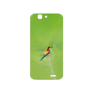 MAHOOT European bee-eater Cover Sticker for Huawei Ascend G7