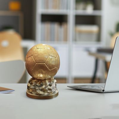 نقد و بررسی تندیس مدل توپ طلا توسط خریداران