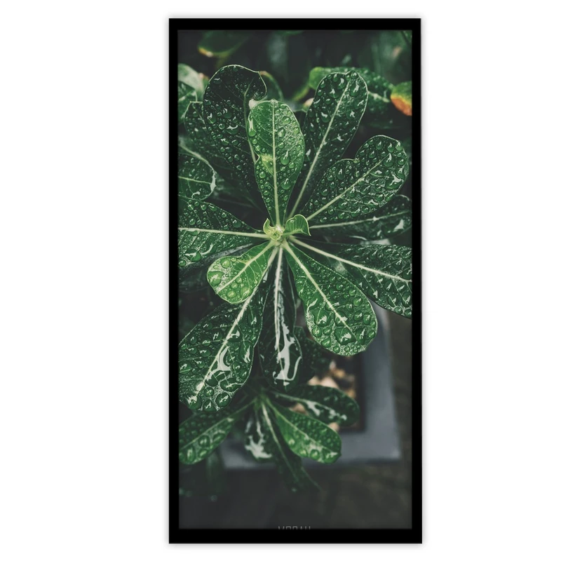 تابلو بکلیت طرح گیاه آپارتمانی مدل B-S3365