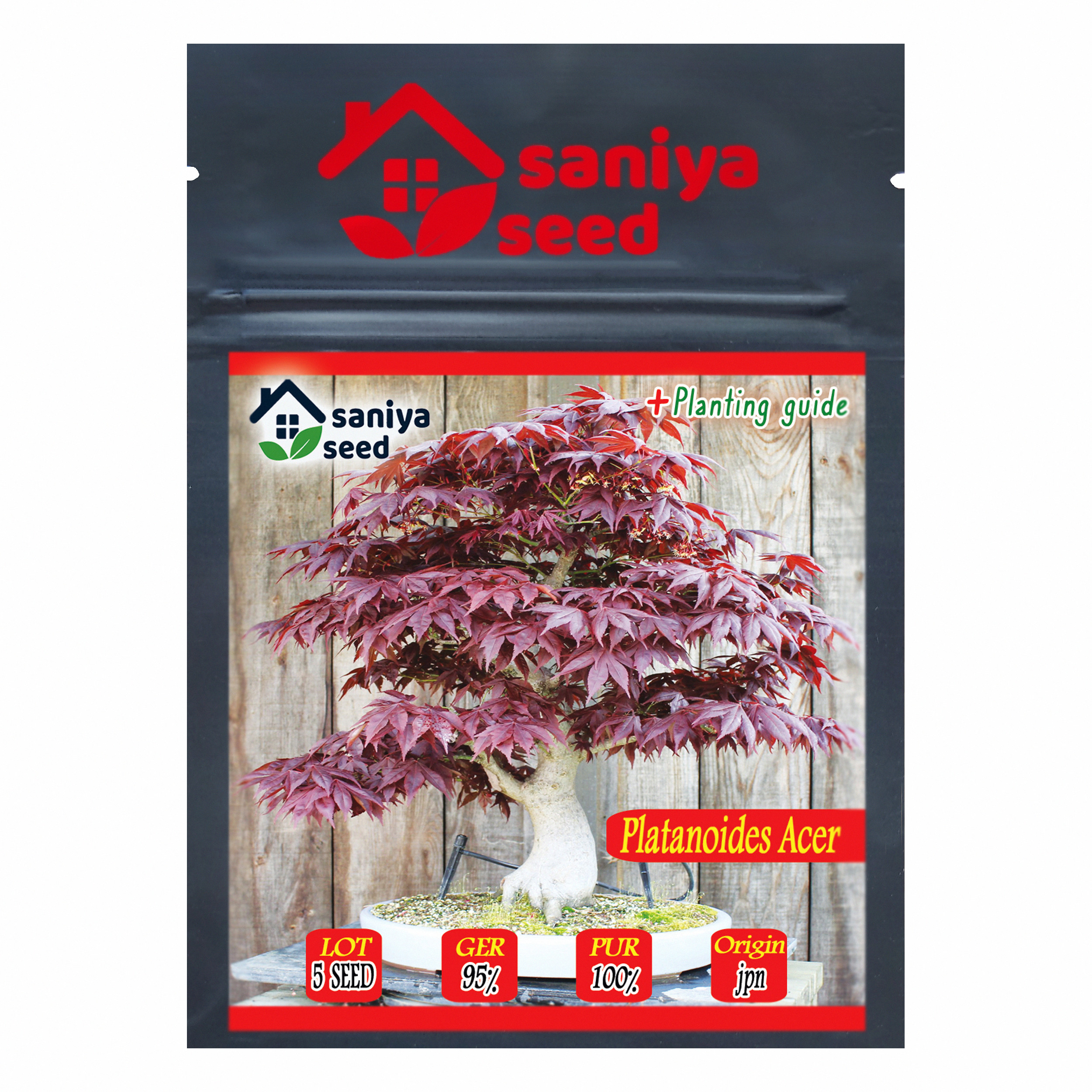 بذر بنسای افرا پلانتانید سانیا سید مدل S31