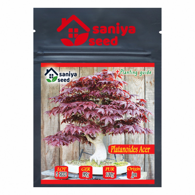 بذر بنسای افرا پلانتانید سانیا سید مدل S31