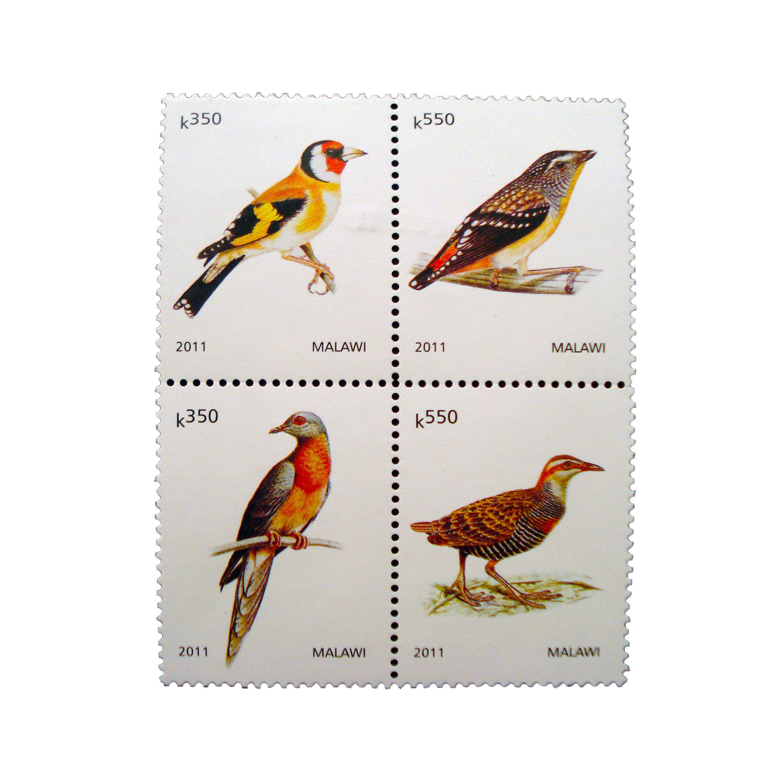 تمبر یادگاری طرح طبیعت مدل پرنده کد bird-726 مجموعه 4 عددی