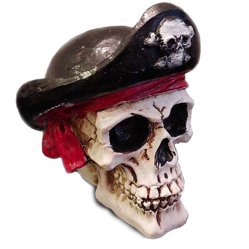 مجسمه مدل دزد دریایی