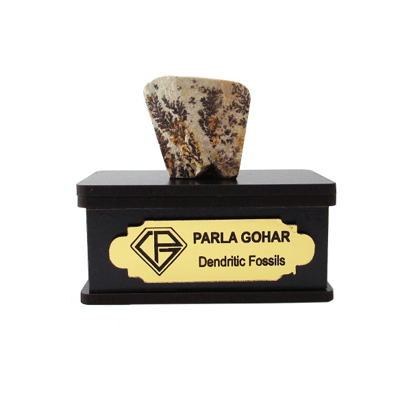 سنگ راف شجر فسیلی پارلا گوهر کد 2197