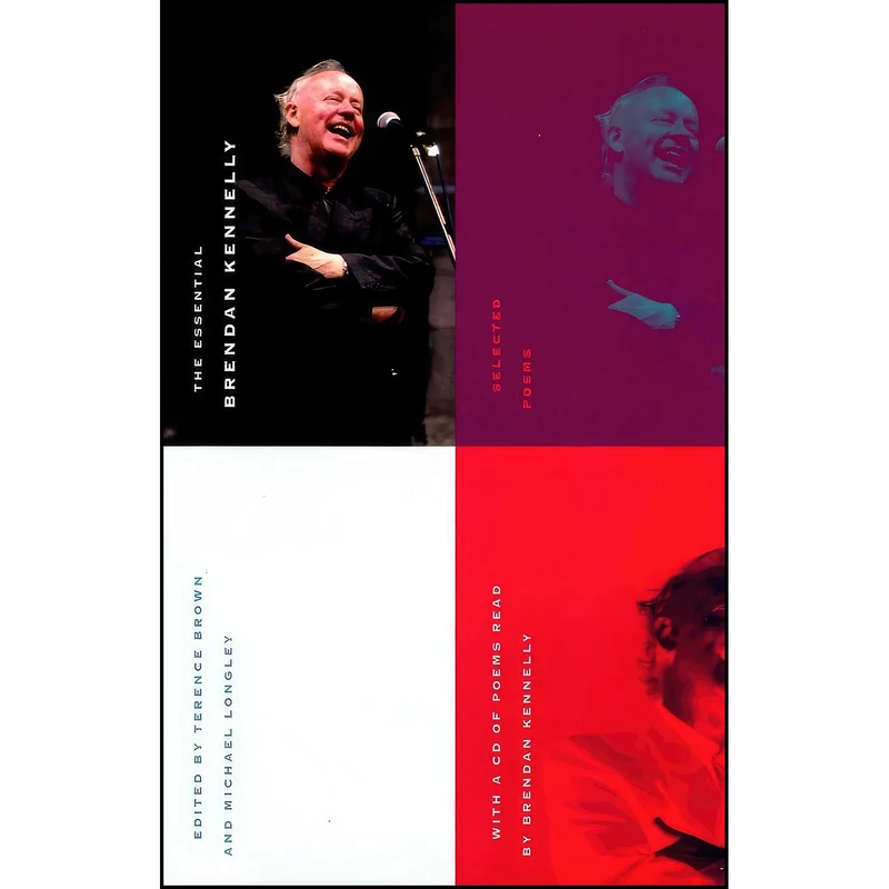 کتاب The Essential Brendan Kennelly اثر جمعي از نويسندگان انتشارات Wake Forest University Press