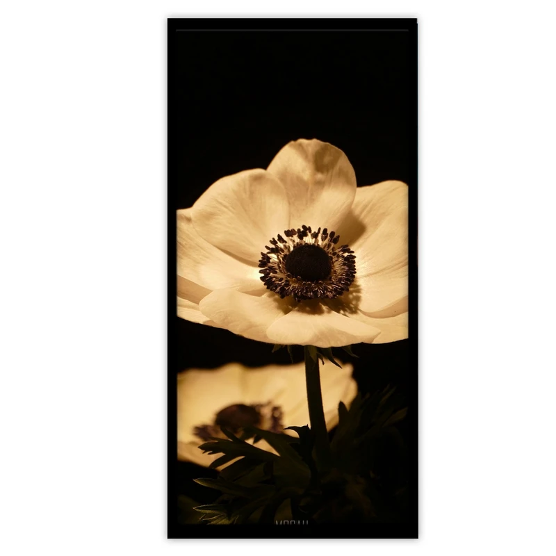 تابلو بکلیت طرح طبیعت و گل مدل B-S3657