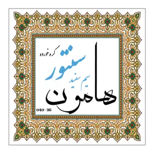 سیم سنتور هامون مدل گره خورده کد Steel - 040-36