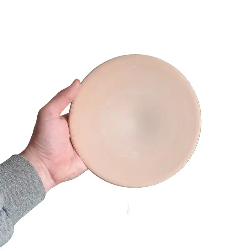 بشقاب سفالی خام کد 20SANTI