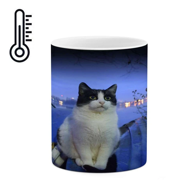 ماگ حرارتی کاکتی مدل گربه کد mgh14444