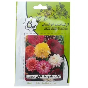 بذر کوکب پامتوسط الوان آرکا بذر ایرانیان کد A17