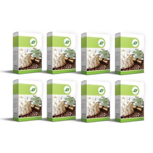پودر کیک وانیل جمع - 500 گرم بسته 8 عددی