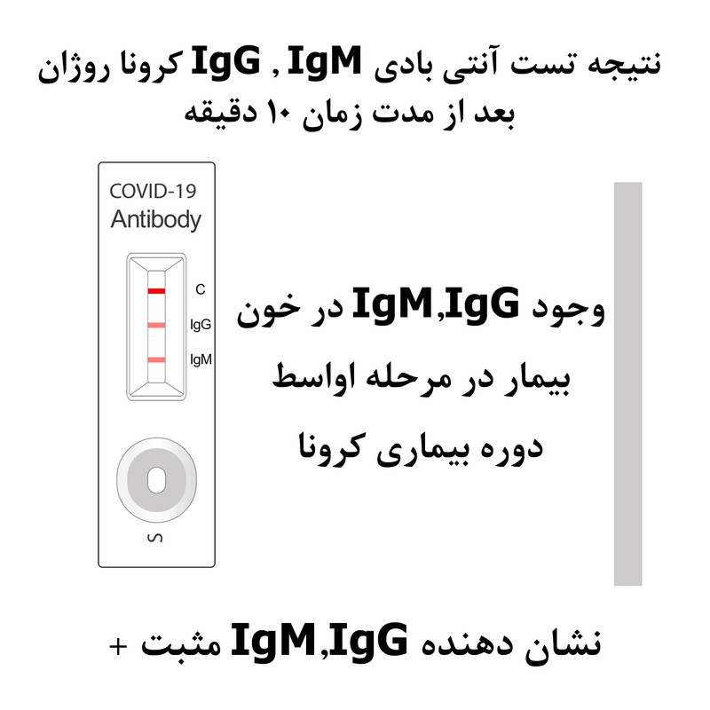 تست سریع آنتی بادی مدل IgG IgM بسته 3 عددی