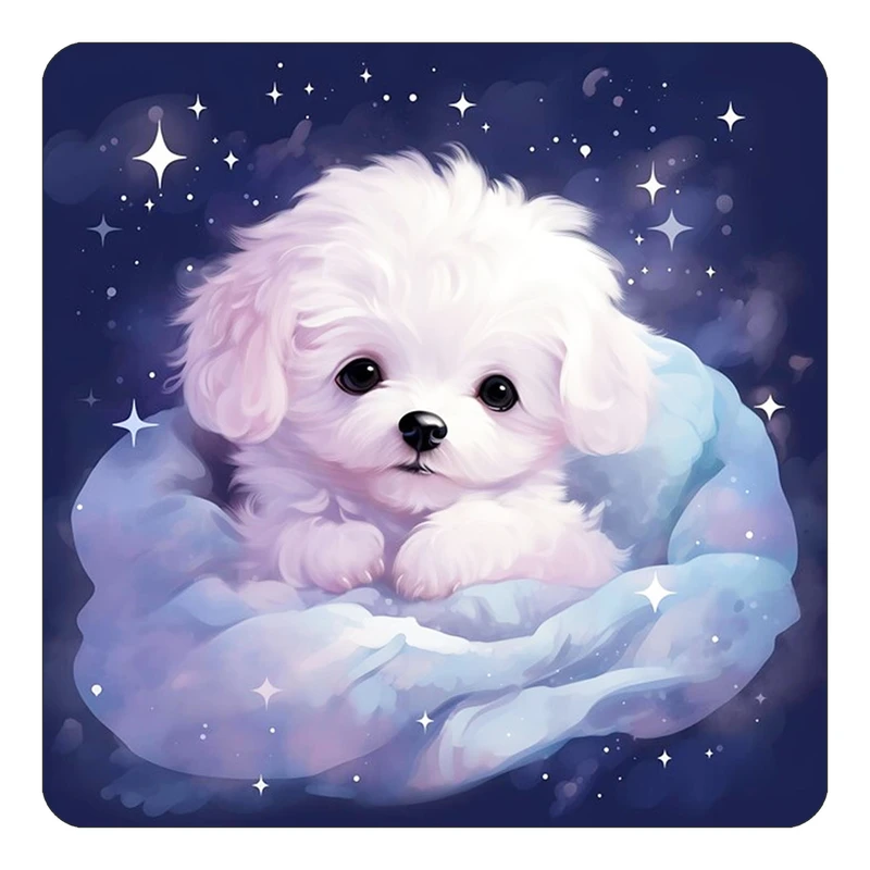 مگنت کاکتی طرح شازده کوچولو مدل mp35904