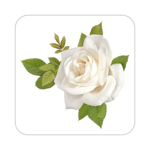 زیر لیوانی کاکتی طرح گل مدل mp18198