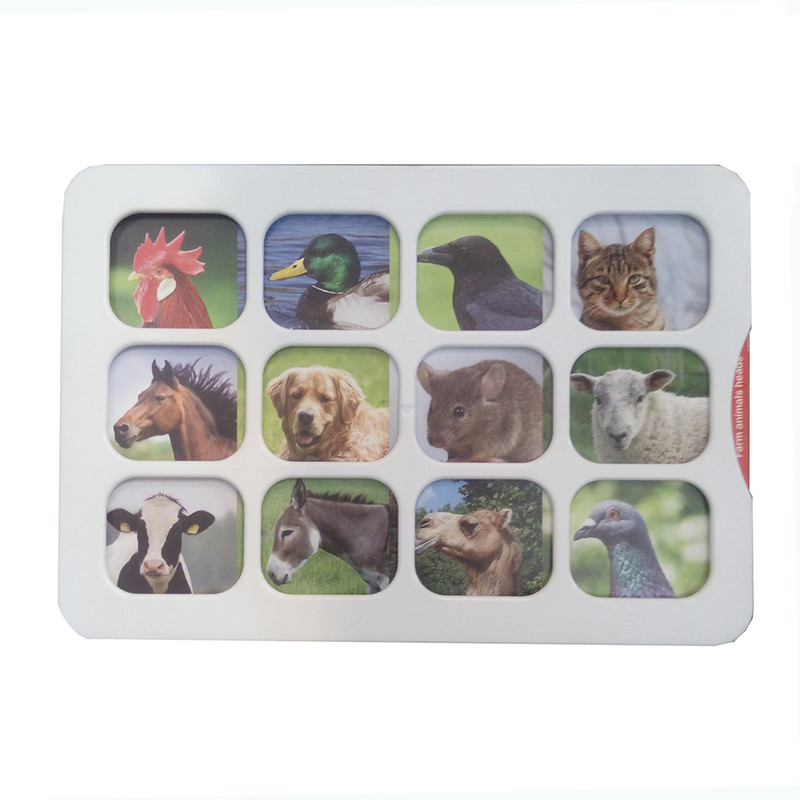 بازی آموزشی مدل هوش چین طرح میوه و حیوانات کد 2