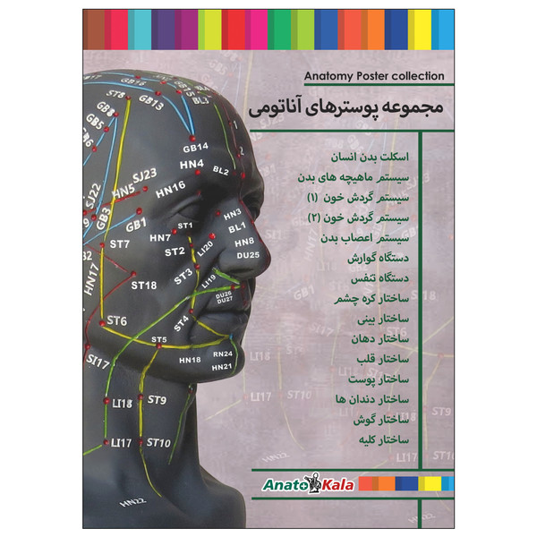 پوستر آموزشی طرح پوستر های آناتومی مجموعه 15 عددی