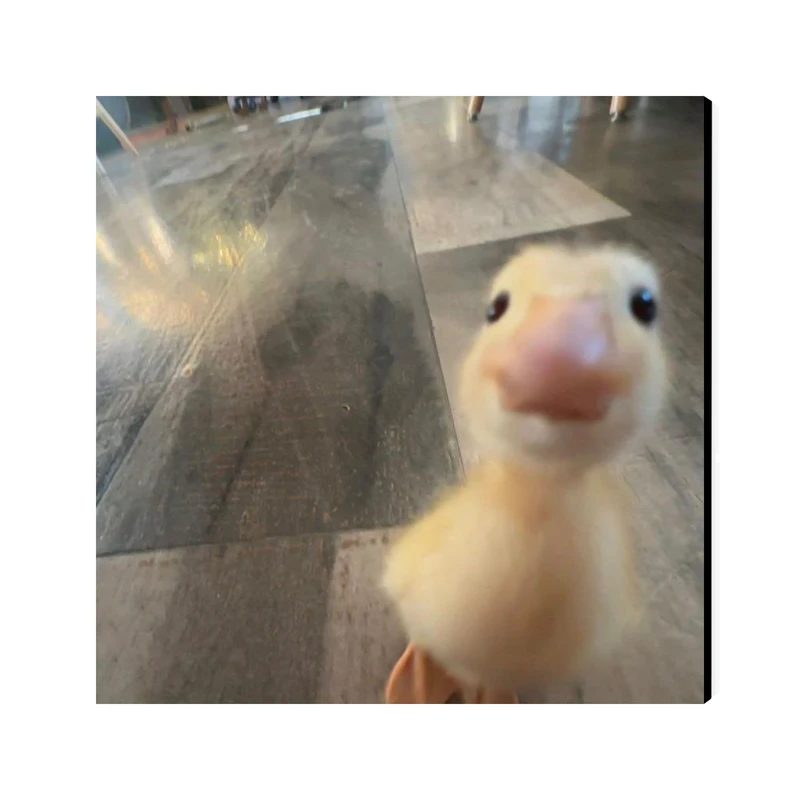 تابلو شاسی عرش مدل فانتزی اردک کد As5417