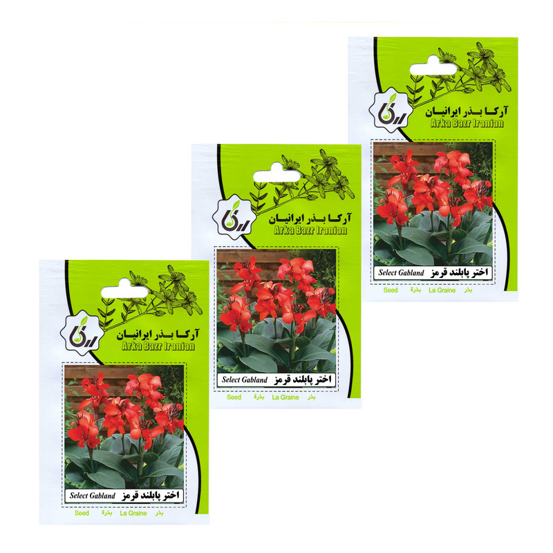 بذر گل اختر پابلند قرمز آرکا بذر ایرانیان مدل A2 مجموعه 3 عددی بذر گل اختر پابلند قرمز آرکا بذر ایرانیان مدل A2 مجموعه 3 عددی