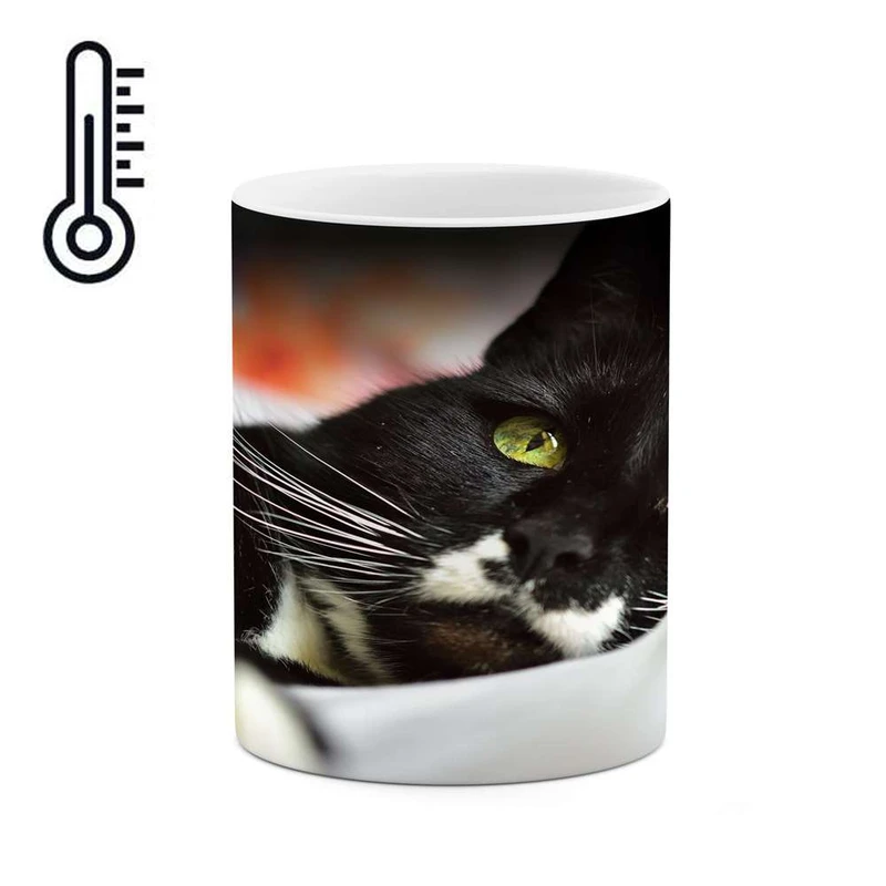 ماگ حرارتی کاکتی مدل گربه کد mgh17980