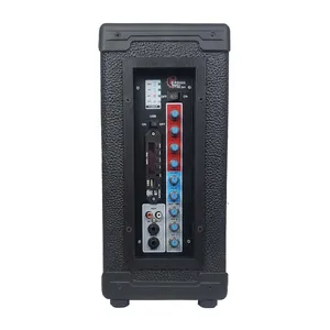 اکو همراه پرشین مدل PE-302