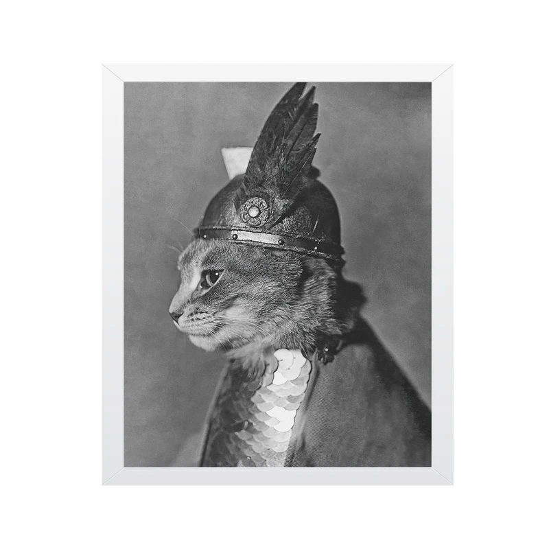 تابلو مدل گربه زره‌پوش با کلاه خود بالدار