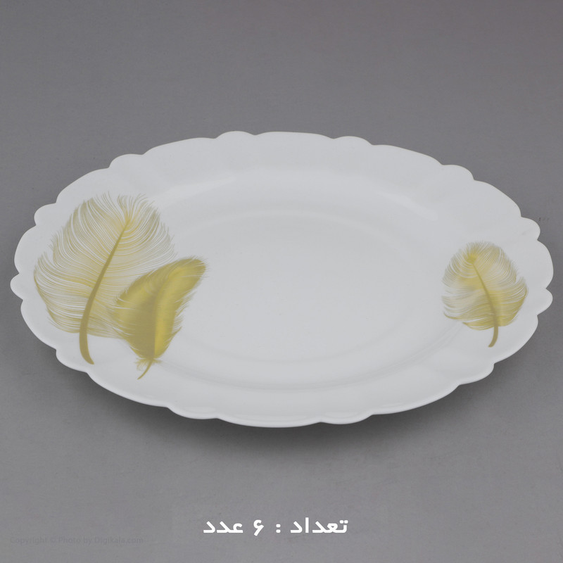 سرویس 25 پارچه آیروپال طرح دایره مدل رایا