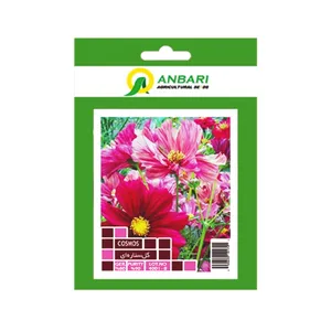 بذر گل ستاره ای بذر عنبری کد BZA-030