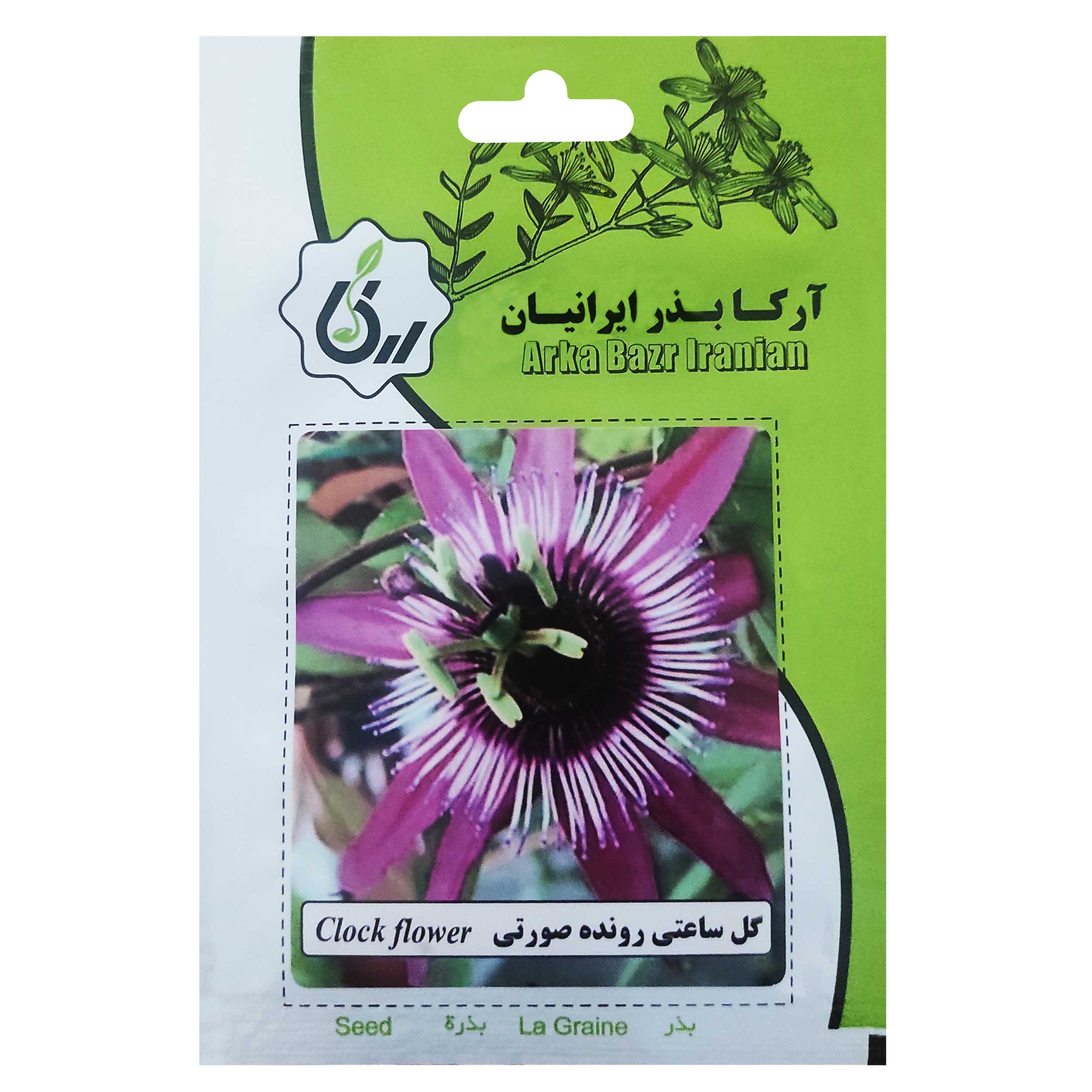 بذر گل ساعتی رونده صورتی آرکا بذر ایرانیان کد 139-ARK