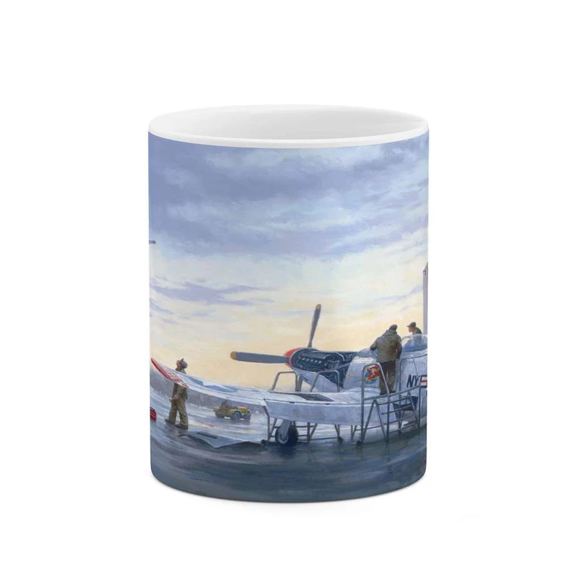 ماگ کاکتی مدل هواپیمای جنگنده کد mgh10643