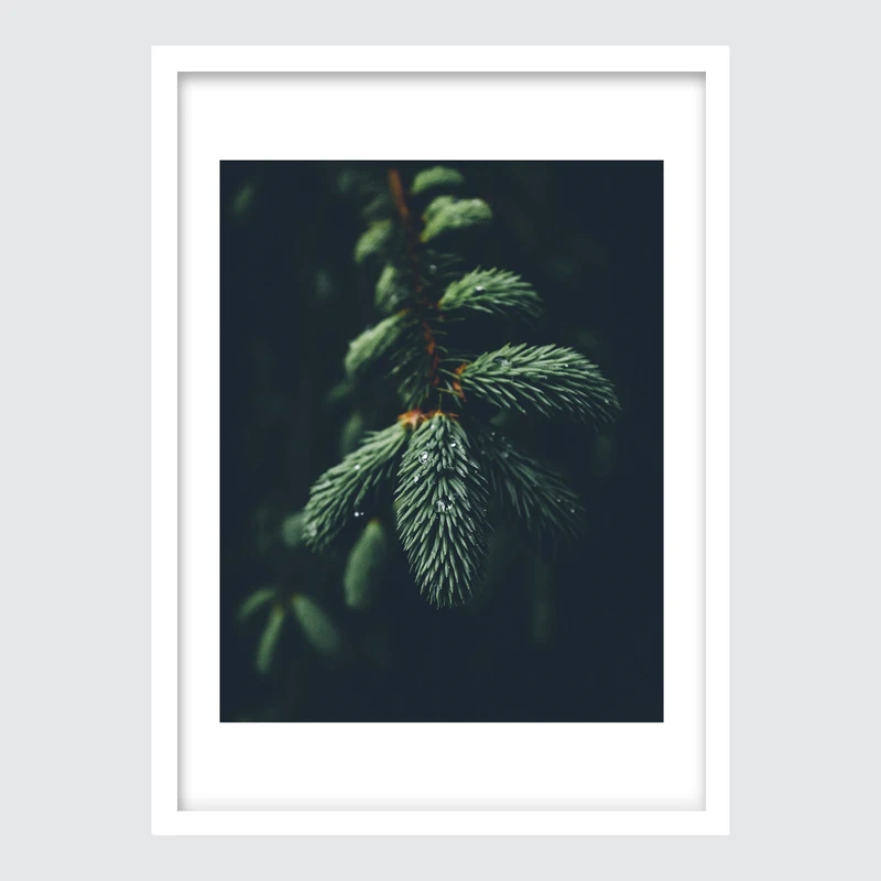 تابلو آرتستا مدل پوستر نمای نزدیک درخت کاج جنگلی کد 019S