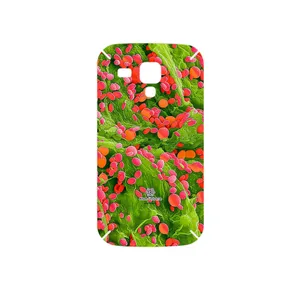 MAHOOT Atom Universe 3 Cover Sticker for Samsung Galaxy S Duos GT S7562