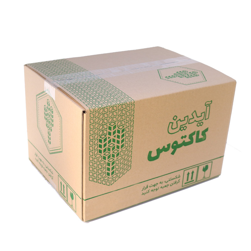 گیاه طبیعی ساکولنت آیدین کاکتوس کد CB-030 بسته 6 عددی گیاه طبیعی ساکولنت آیدین کاکتوس کد CB-030 بسته 6 عددی