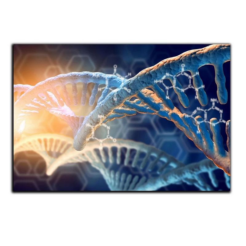 تابلو شاسی بکلیت طرح ژنوم و DNA مدل SH-S5022