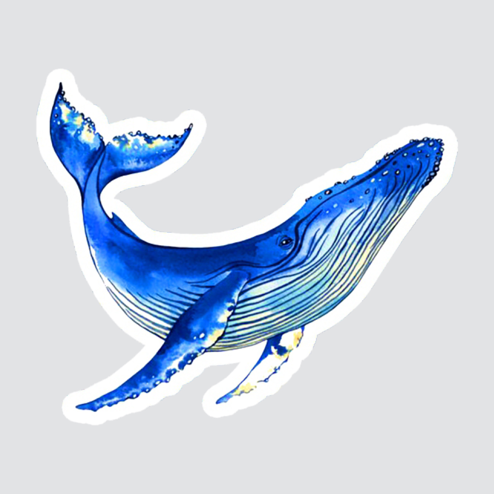 استیکر لپ تاپ پیکسل میکسل مدل نهنگ آبی