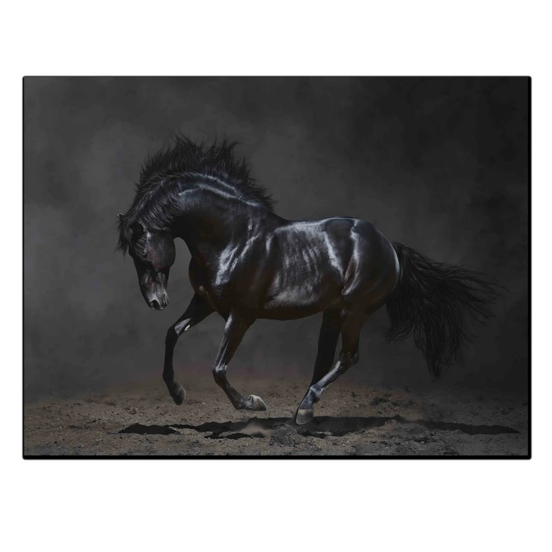 تابلو شاسی بکلیت طرح اسب سیاه مدل SH-11799