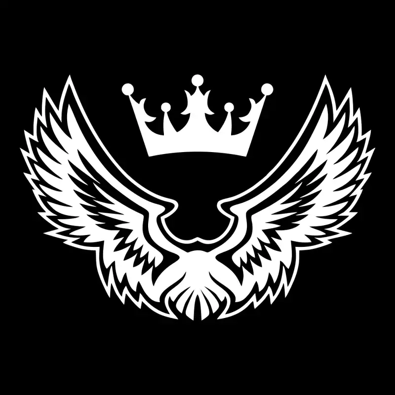 برچسب بدنه خودرو ماتریسیو طرح بال و تاج کد M47