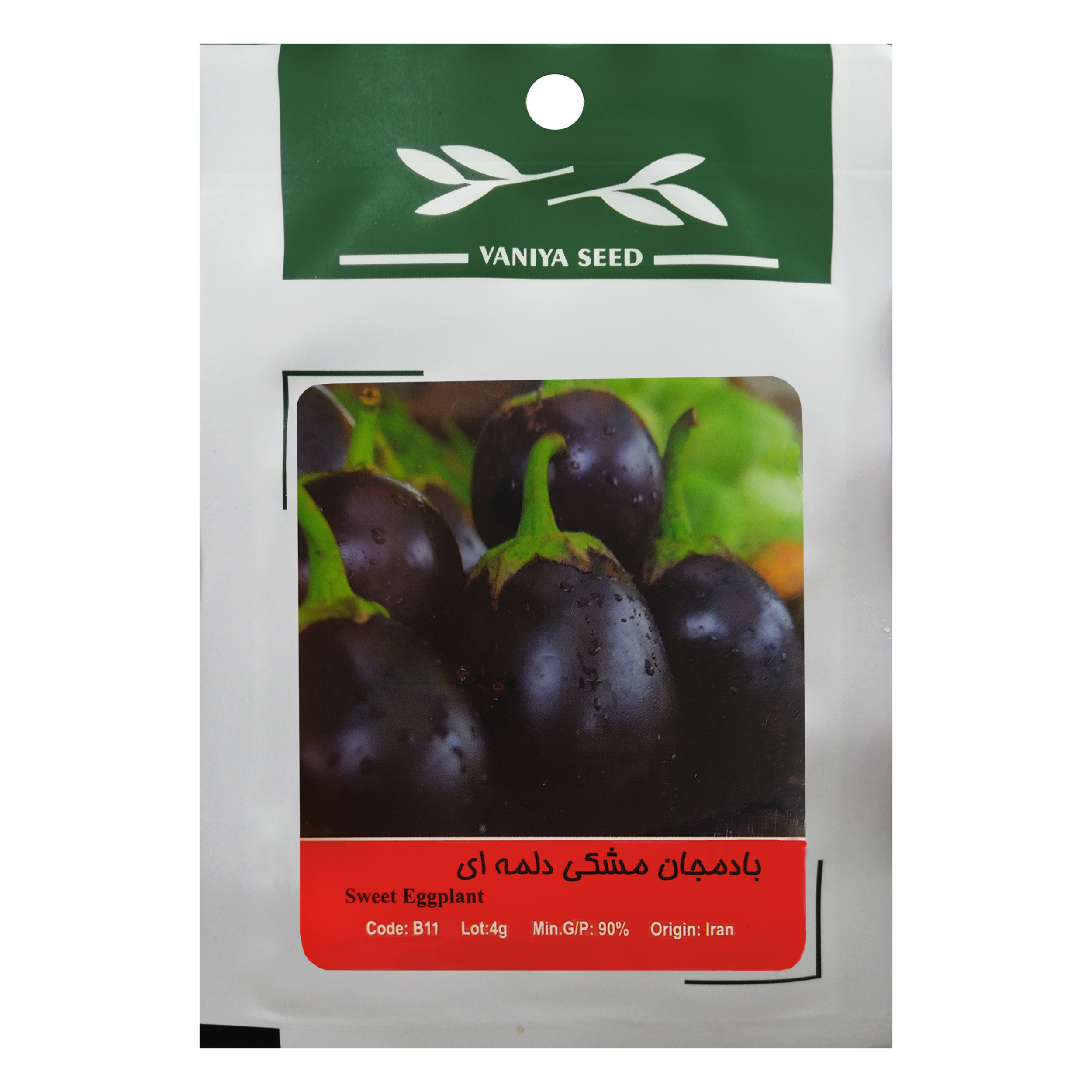 بذر بادمجان مشکی دلمه ای وانیا سید مدل B11