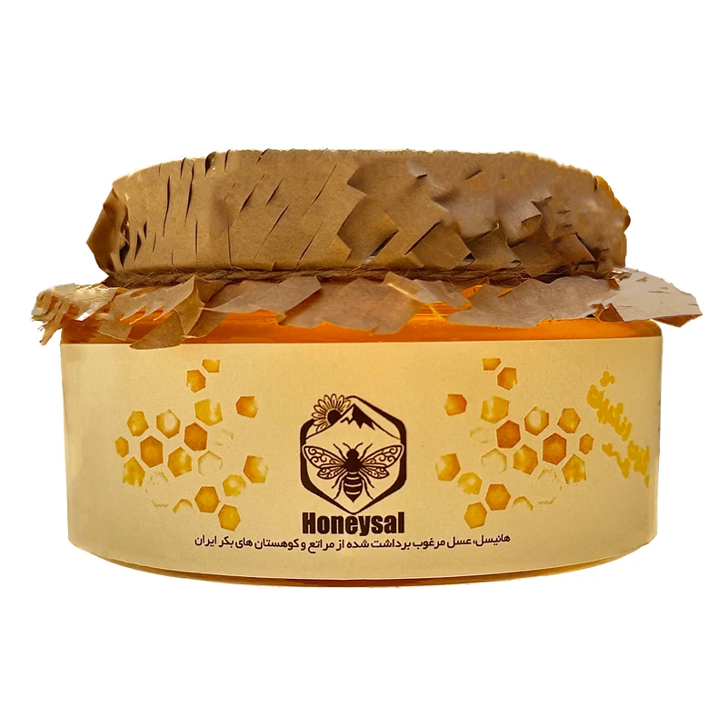 عسل طبیعی گون‌ انگبین هانیسل - 500 گرم