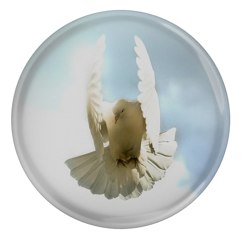 پیکسل طرح کبوتر مدل S3045