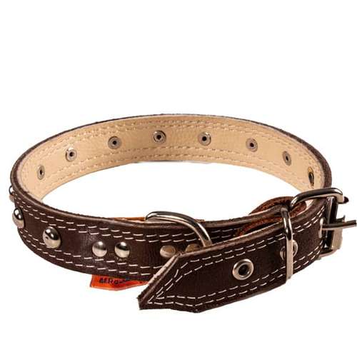 قلاده گردنی سگ طرح پرچدار کد 70