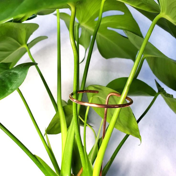 نگهدارنده مدل قیم گل مجموعه 4 عددی