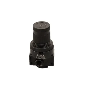 رگولاتور پنوماتیک کوئکس مدل Coex-M-AR2000