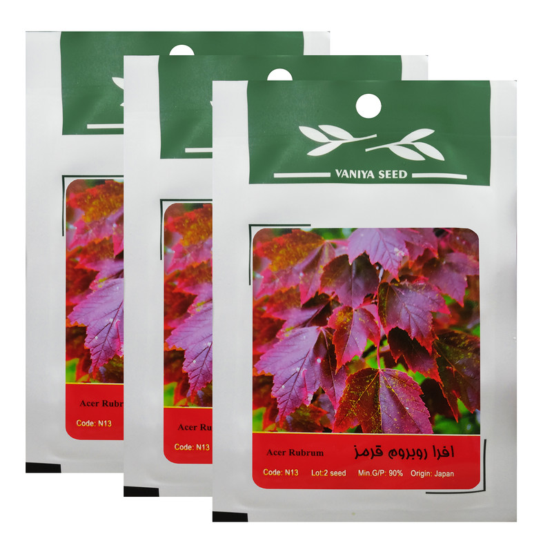 بذر بنسای افرا روبروم قرمز وانیا سید کد N13 مجموعه 3 عددی بذر بنسای افرا روبروم قرمز وانیا سید کد N13 مجموعه 3 عددی