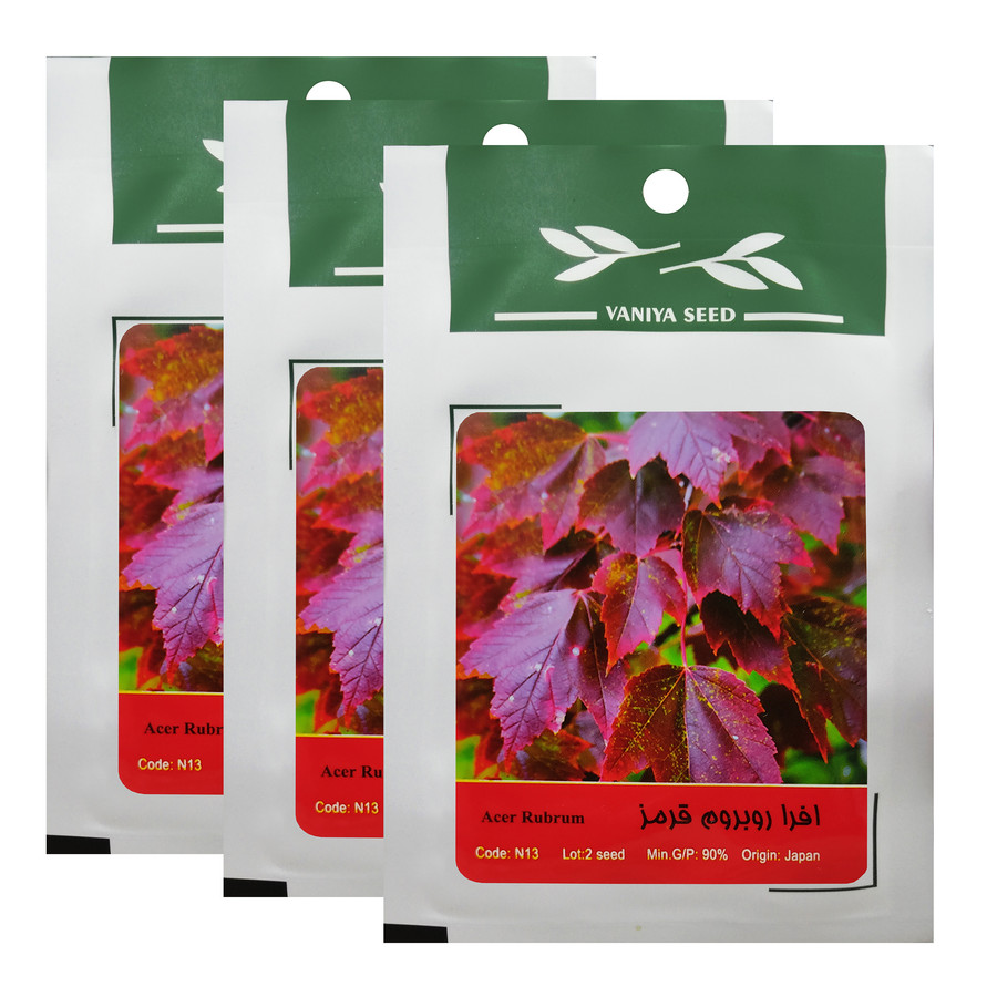 بذر بنسای افرا روبروم قرمز وانیا سید کد N13 مجموعه 3 عددی