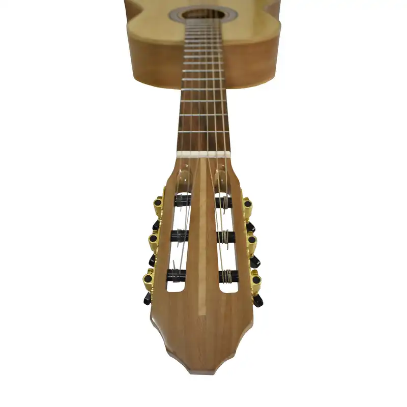 گیتار مدل S1sy-FL