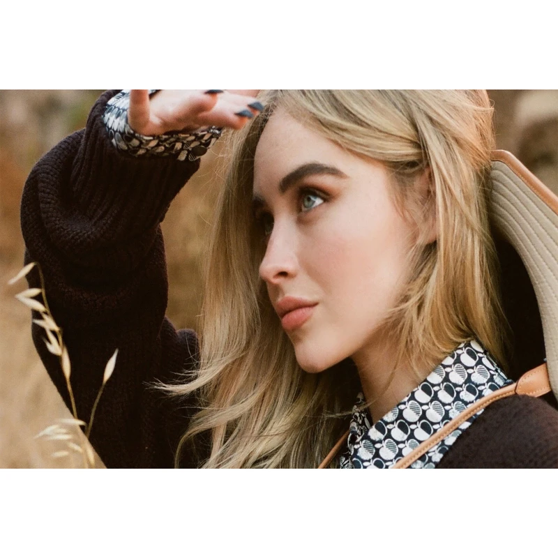 تابلو شاسی مدل سابرینا کارپنتر کد T6257