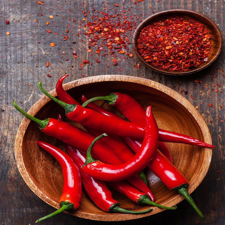 بذر فلفل تند قرمز وانیا سید مدل F38