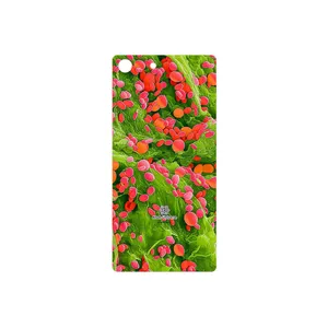 MAHOOT Atom Universe 3 Cover Sticker for Sony Xperia M5