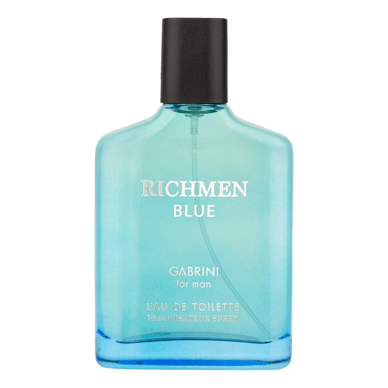 ادو تویلت مردانه گابرینی مدل Richmen با رایحه خنک حجم 100 میلی لیتر
